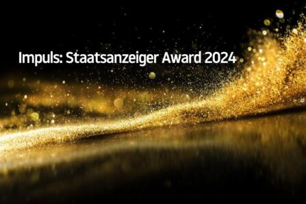 Impuls: Staatsanzeiger Award