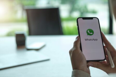 WhatsApp für Behörden: Direkte Bürgerkommunikation über den beliebtesten Messenger